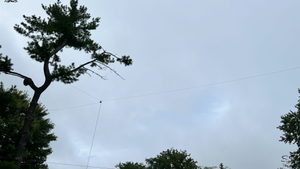 random wire antenna